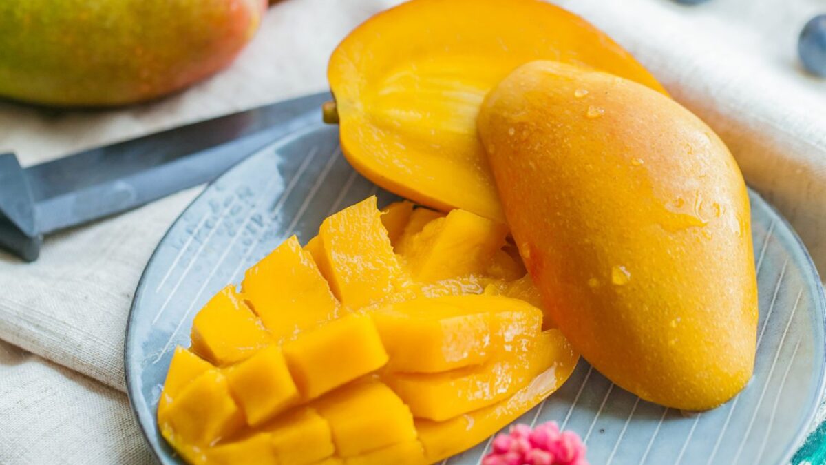 Mango para Tapa de Olla Premier