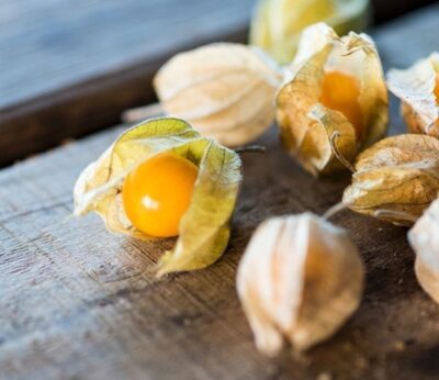 Frutas que no conocías y deberías conocer: physalis