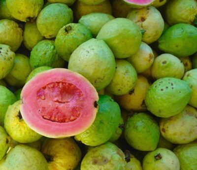 Frutas que no conocías y deberías conocer: guayaba