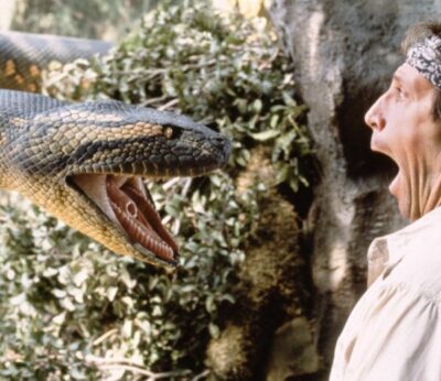 Quien a su hijo consiente va engordando una serpiente