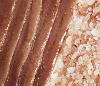 La anchoa del Cantábrico, el manjar que nos enseñaron a valorar los italianos