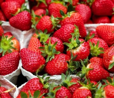 Alimentos que te ayudan a superar la alergia