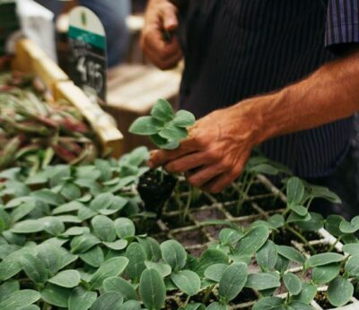 Mercado de productores de Poblenou: de sueño a realidad