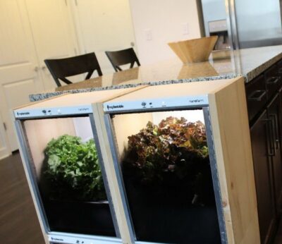 Un invernadero en tu cocina para cultivar vegetales