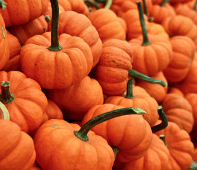 Viste tu mesa del color de la calabaza con estas ideas gourmet