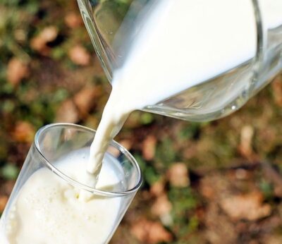 La leche, último tema de controversia en Estados Unidos