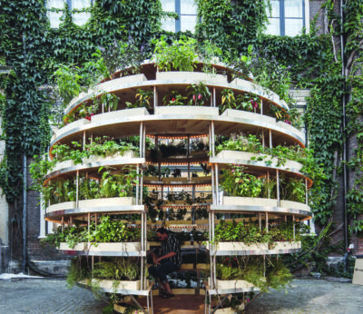 The Growroom: cuando plantar hierbas en la ciudad es cuestión de arquitectura