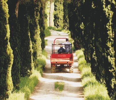 El paraíso rural de Diesel Farm