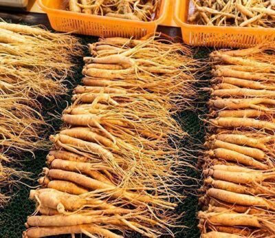 7 tipos de ginseng para sentirte mejor