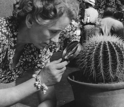 Deberías comerte un cactus