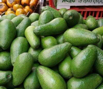 Crean aguacates sin hueso para evitar accidentes