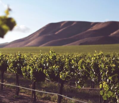 ¿Running en una bodega?