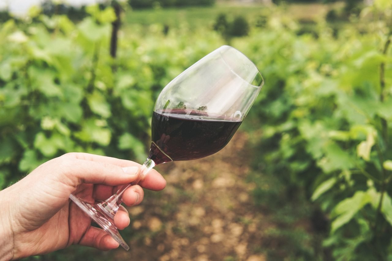 Estos son los vinos que tienes que probar si haces el Camino de Santiago