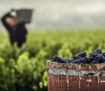 Ahora más que nunca, te mereces un Rioja