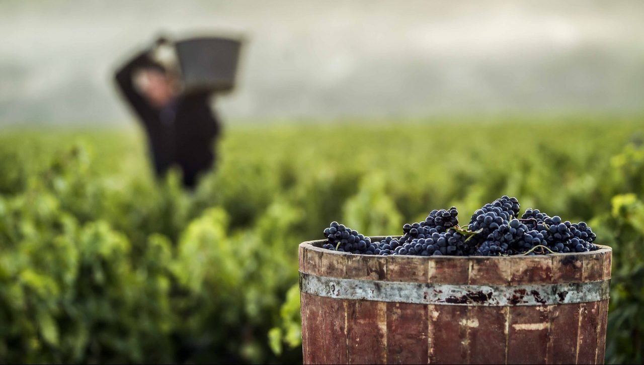 Ahora más que nunca, te mereces un Rioja