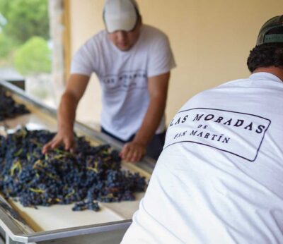 El Aula Vinos de Madrid, una iniciativa con Denominación de Origen