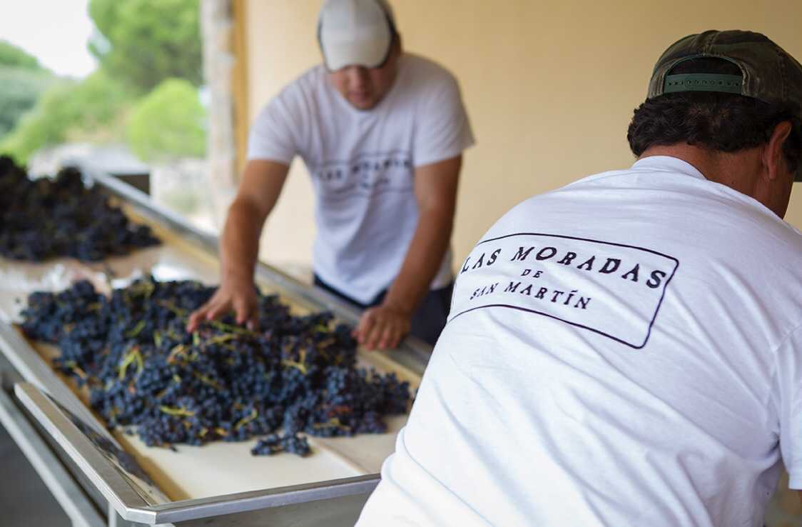 El Aula Vinos de Madrid, una iniciativa con Denominación de Origen