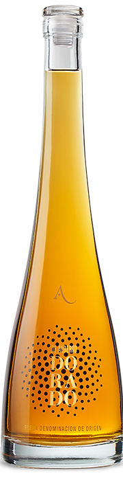 CASTILLAYLEÓN-vinos