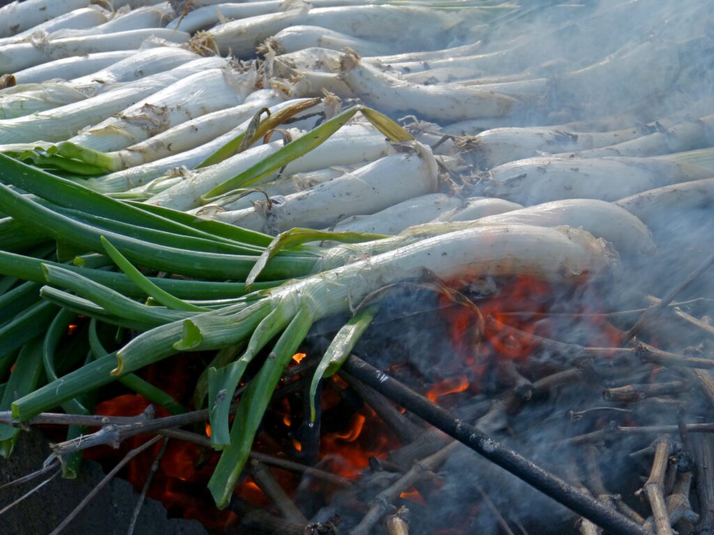 Calçots