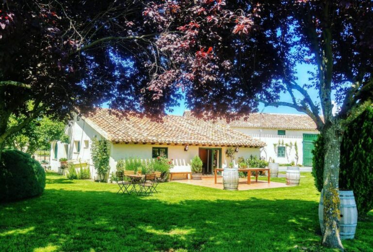 bodegas