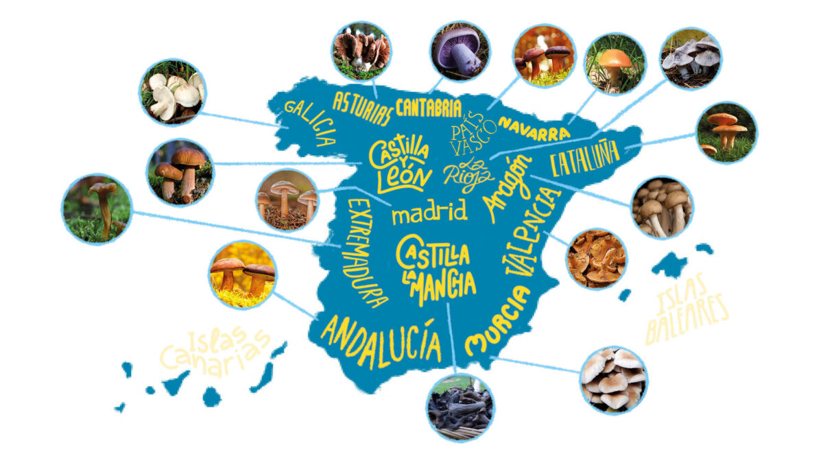 mapa-mejores-setas