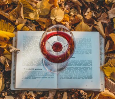 Estos son los mejores libros de vinos del año