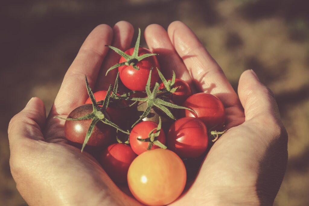 Alimentos para combatir el frío - Tomates