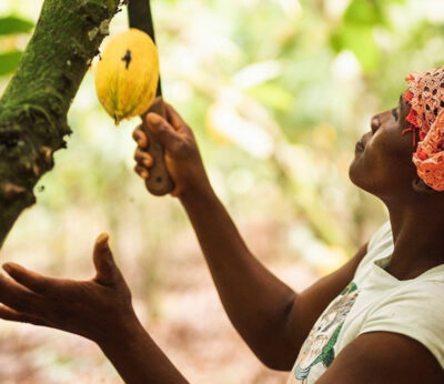 El proyecto de Mars para mejorar la vida de los recolectores de cacao en Costa de Marfil