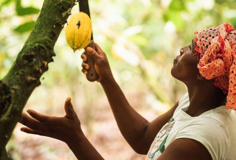 El proyecto de Mars para mejorar la vida de los recolectores de cacao en Costa de Marfil
