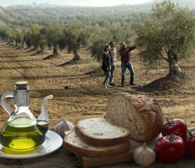 Descubre la esencia de Cataluña desde sus olivares