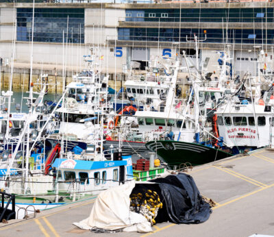 Economía/Pesca.- Pescadores gallegos tildan de «situación catastrófica» la reducción de las capturas del jurel