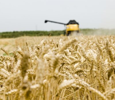 Economía.- La nueva PAC entra en vigor el 1 de enero con 307.000 millones para el periodo 2023-2027