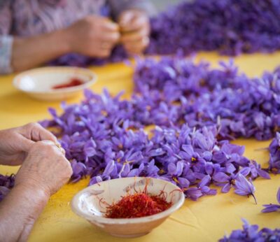 Economía.- La cosecha de la DOP Azafrán de La Mancha finaliza con 462,15 kilos recolectados, un 26,25% más