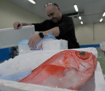 Economía.- El PP denuncia la «mala fe» de la Comisión Europea por la tardanza en la revisión del veto a la pesca