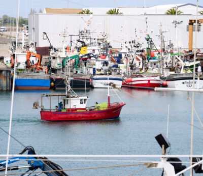Economía.- Abierto el plazo de solicitud de ayudas para instalar sistemas de observación electrónica en buques de pesca