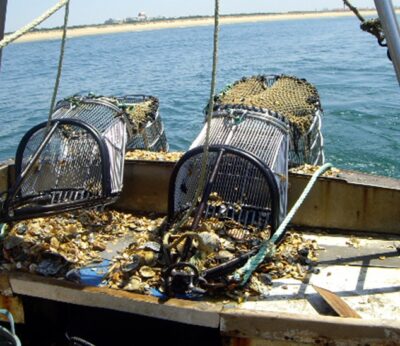 Economía/Pesca.- La UE y Reino Unido acuerdan las cuotas de pesca para los caladeros compartidos en el Atlántico