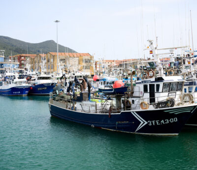 Economía/Pesca.- El Gobierno actualiza la ley que moderniza el control y la inspección para combatir la pesca ilegal