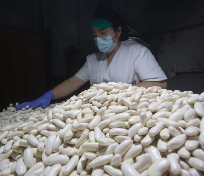 Economía.- OCU vigilará que productores no trasladen a consumidores el sobrecoste de las nuevas obligaciones en envases