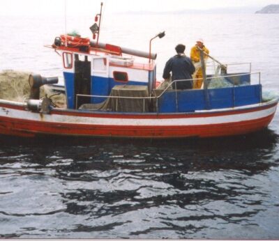 Economía.- La Eurocámara propone crear un fondo de compensación para cubrir pérdidas de pesca artesanal