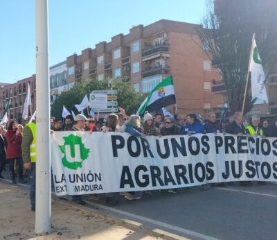 Economía.- Agricultores y ganaderos se manifiestan en Don Benito para reclamar un cambio en el reparto de ayudas