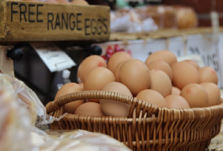 Por qué el precio de los huevos está por las nubes en EE UU