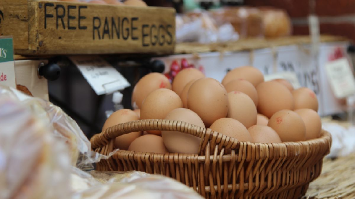 Here’s why eggs are so expensive in the US
