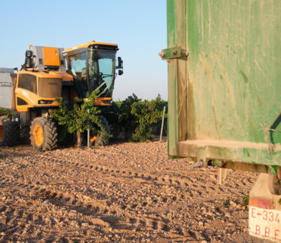 Economía.- Ampliado el plazo para pedir ayudas destinadas a obtener avales de Saeca para el sector agrario y pesquero