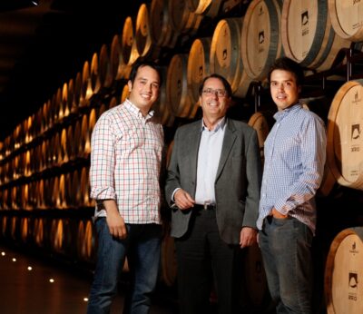 Economía.- Grupo Marqués del Atrio crece con la compra de la bodega navarra Alex Viñedos de Calidad