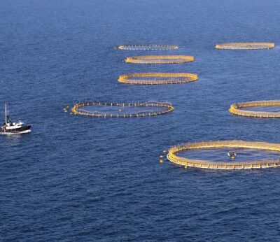 Economía.- Los 4.000 trabajadores del sector de acuicultura marina tendrán un aumento salarial del 5,7% en 2022