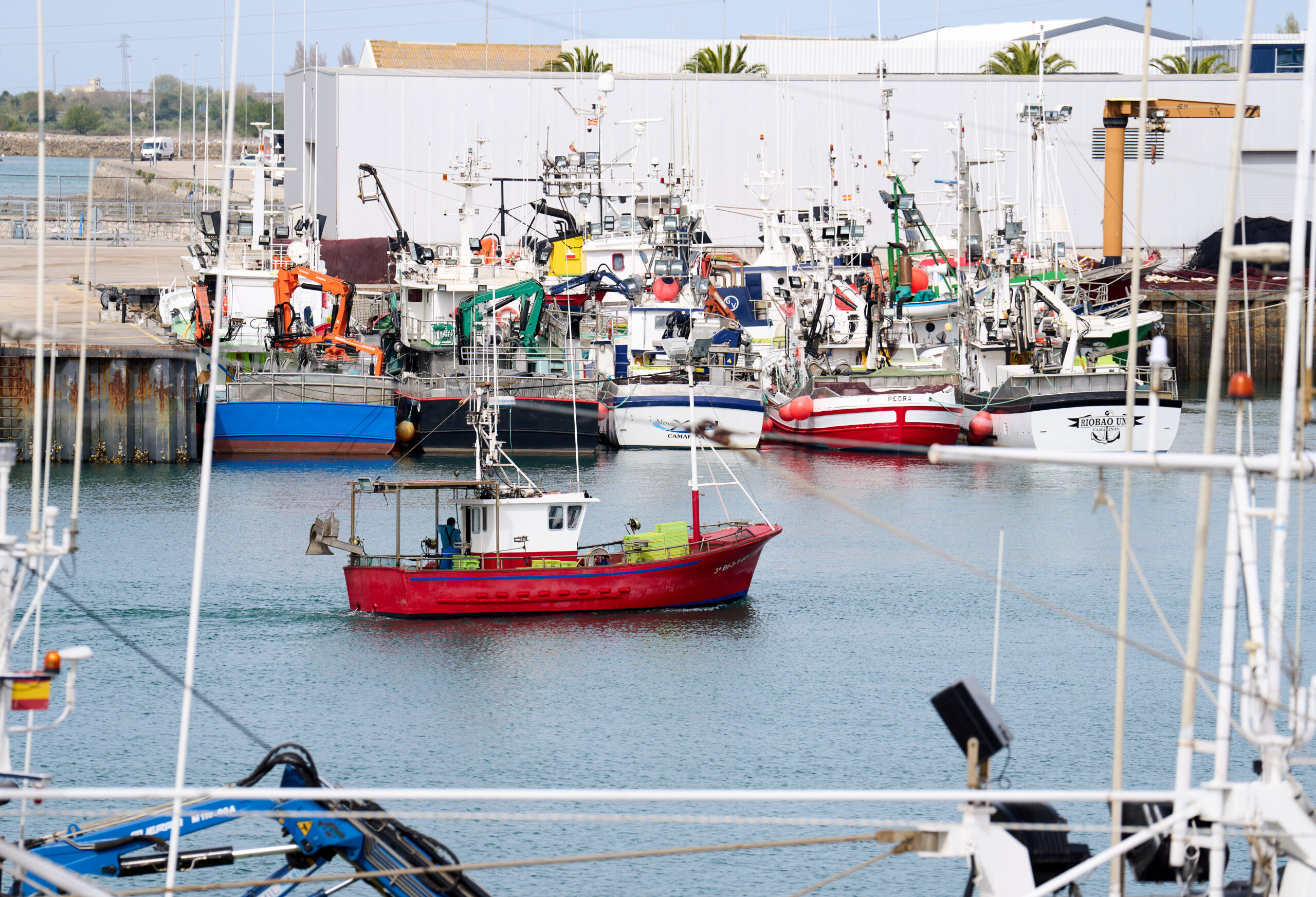 Economía.- Los pescadores afrontan con “incertidumbre”, pero “esperanzados” la costera de la anchoa, la mayor en 13 años