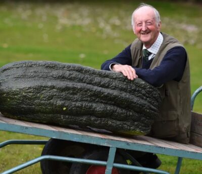 Así son las hortalizas gigantes de  récord que cultiva un agricultor inglés