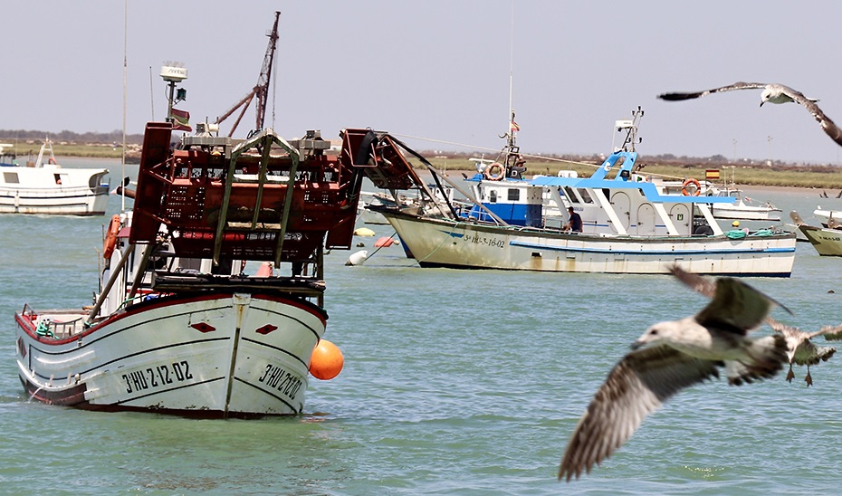 Economía.- Sector pesquero andaluz rechaza plan de Ordenación del Espacio Marítimo, que tilda de “atentado” a ecosistema