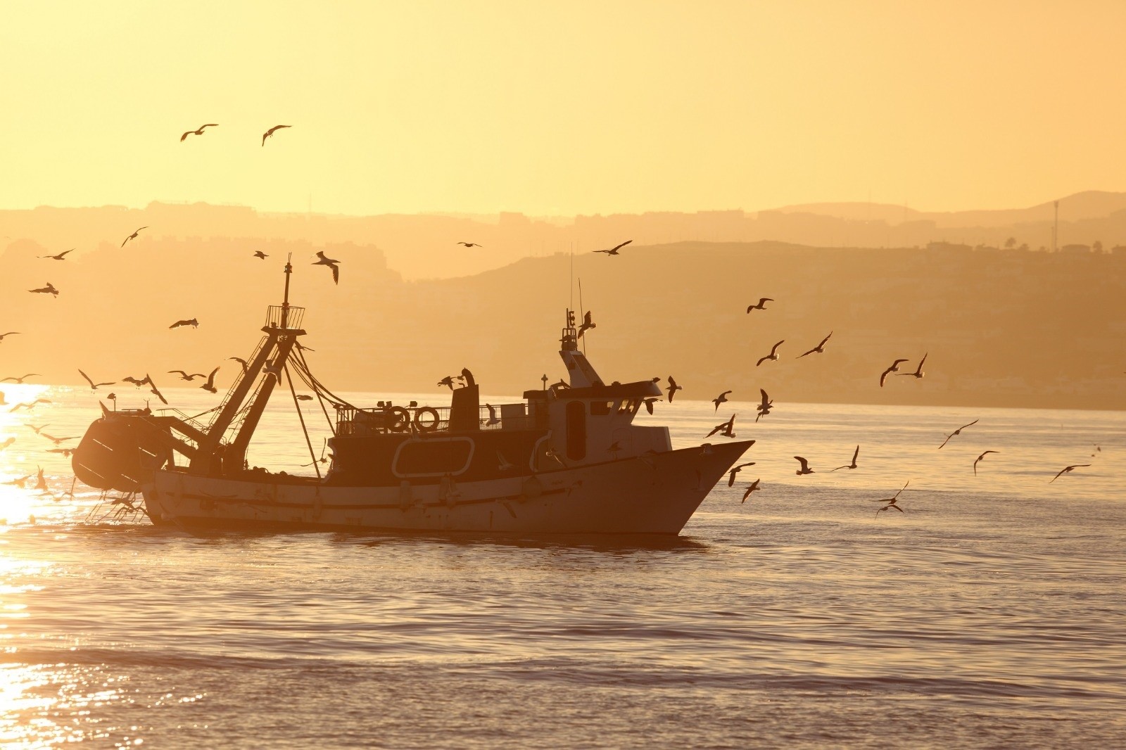 Economy.  Spain will defend trawling against Brussels’ plan to eliminate it from protected areas by 2030