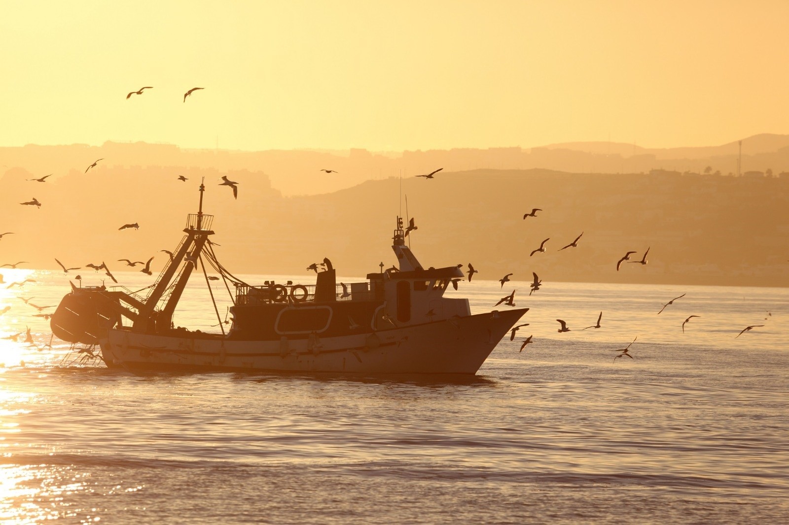 Economy.  Spain will defend trawling against Brussels’ plan to eliminate it from protected areas by 2030